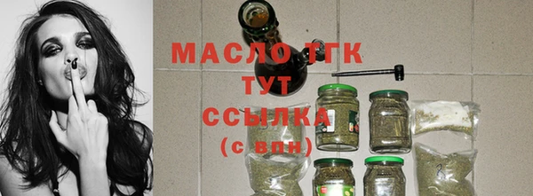 стаф Верея