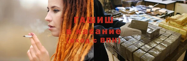 стаф Верея