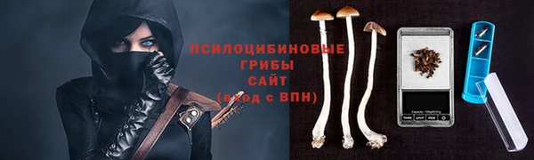 твердый Верхний Тагил
