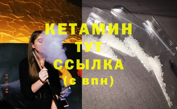 стаф Верея
