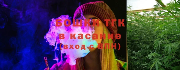 твердый Верхний Тагил