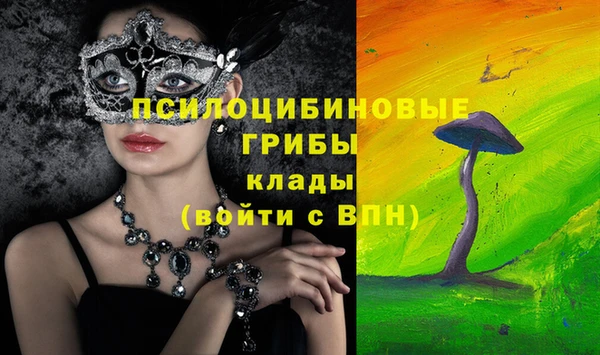 МДПВ Верхнеуральск